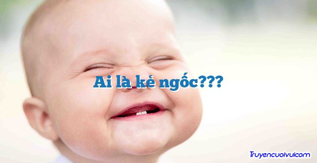Ai là kẻ ngốc??? 		