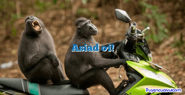 Asiad ơi! 		