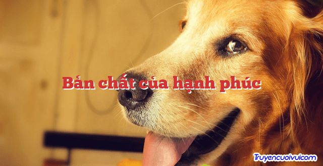 Bản chất của hạnh phúc 		