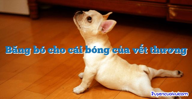 Băng bó cho cái bóng của vết thương 		