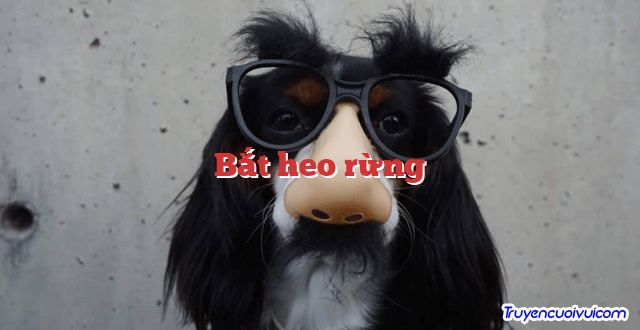 Bắt heo rừng 		