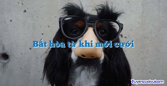 Bất hòa từ khi mới cưới 		