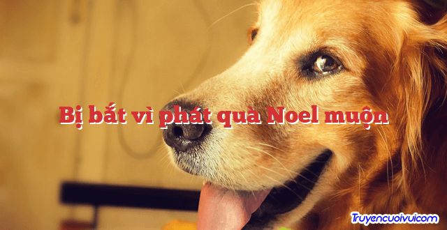 Bị bắt vì phát quà Noel muộn 		