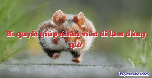 Bí quyết giúp nhân viên đi làm đúng giờ 		