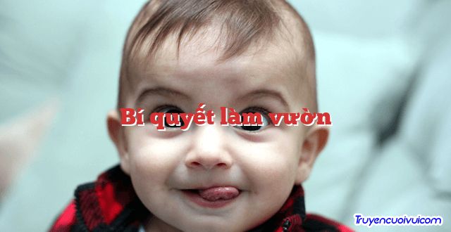 Bí quyết làm vườn