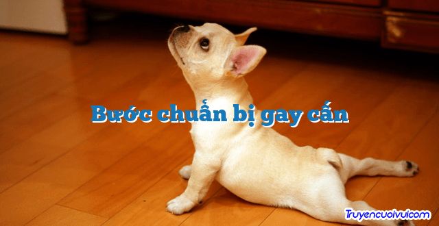 Bước chuẩn bị gay cấn 		