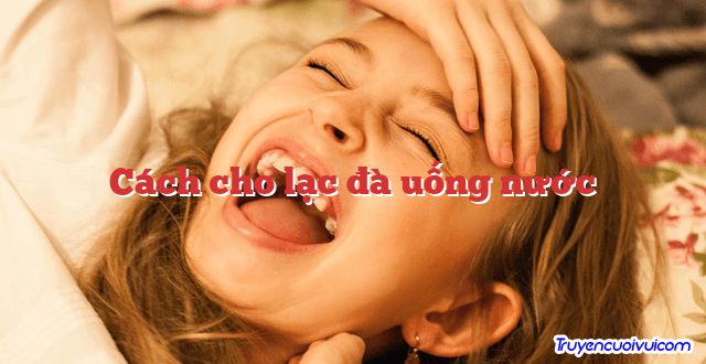 Cách cho lạc đà uống nước 		