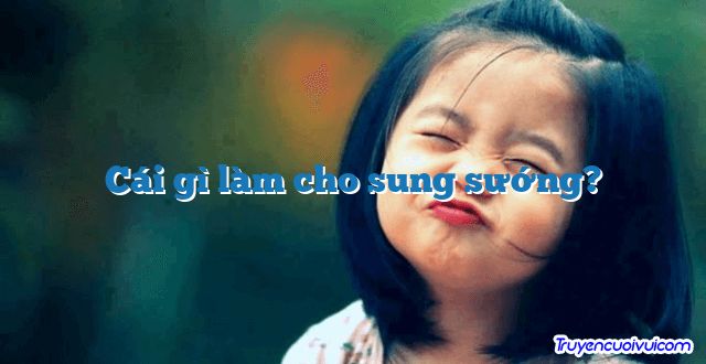 Cái gì làm cho sung sướng? 		