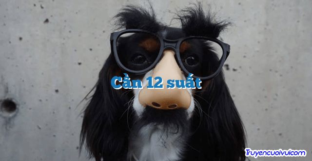 Cần 12 suất 		