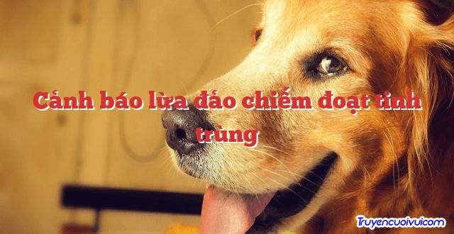 Cảnh báo lừa đảo chiếm đoạt tinh trùng 		