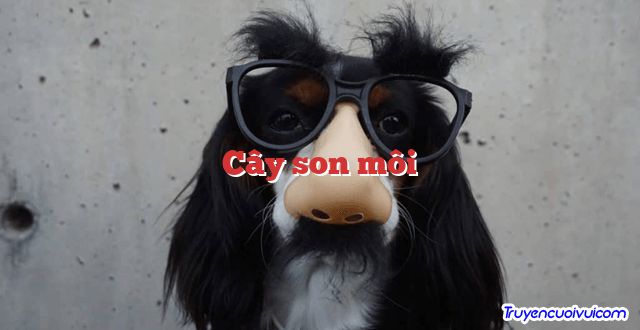 Cây son môi 		