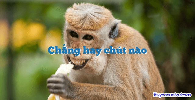 Chẳng hay chút nào 		