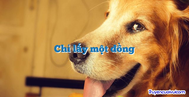 Chỉ lấy một đồng 		