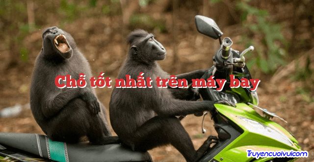 Chỗ tốt nhất trên máy bay 		