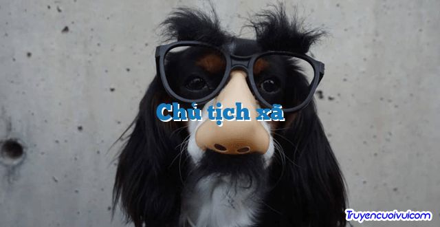 Chủ tịch xã