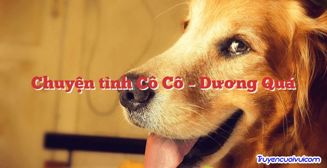 Chuyện tình Cô Cô – Dương Quá