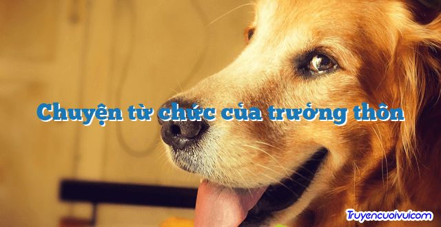 Chuyện từ chức của trưởng thôn 		