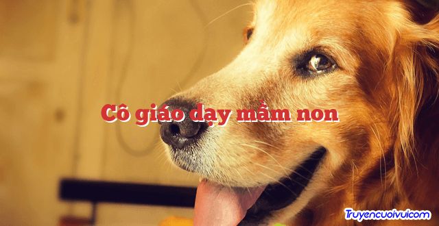 Cô giáo dạy mầm non