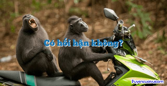 Có hối hận không?