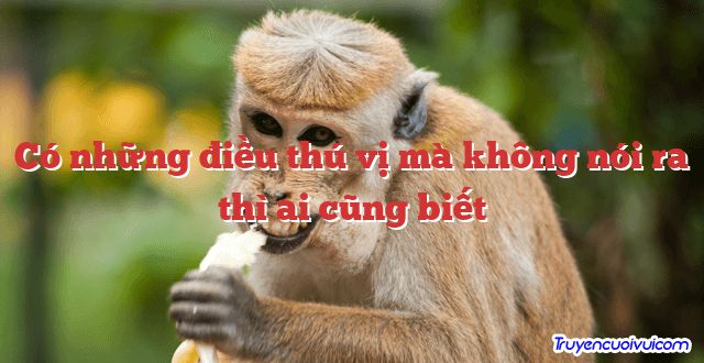 Có những điều thú vị mà không nói ra thì ai cũng biết 		