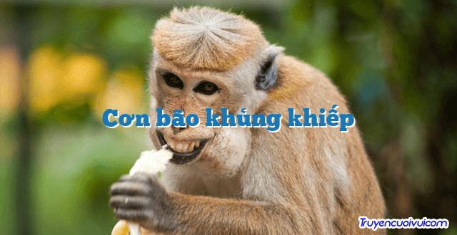 Cơn bão khủng khiếp 		