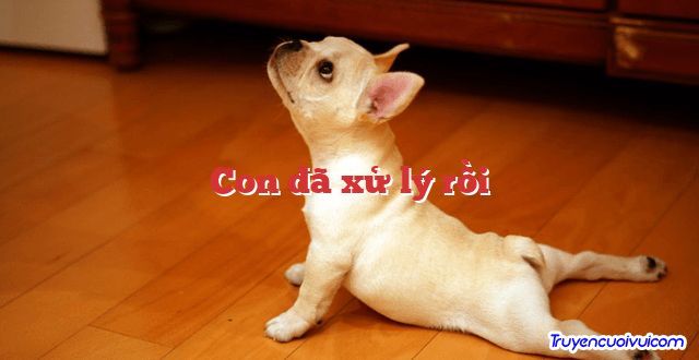 Con đã xử lý rồi 		