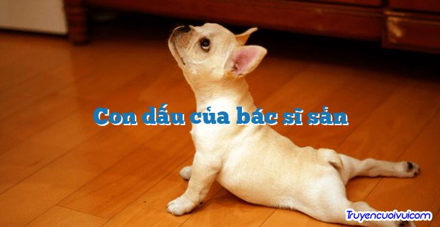Con dấu của bác sĩ sản 		