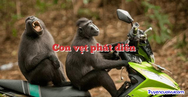 Con vẹt phát điên 		
