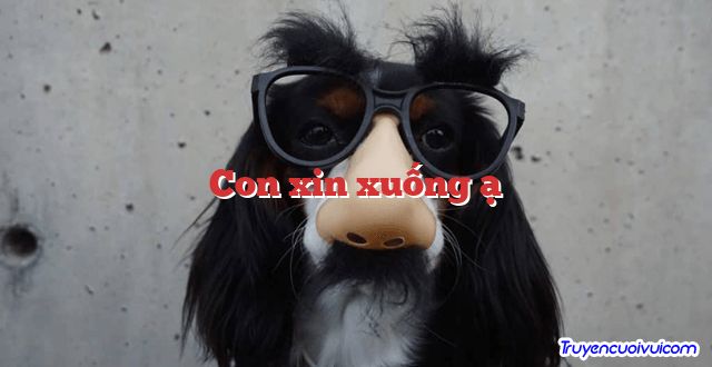 Con xin xuống ạ