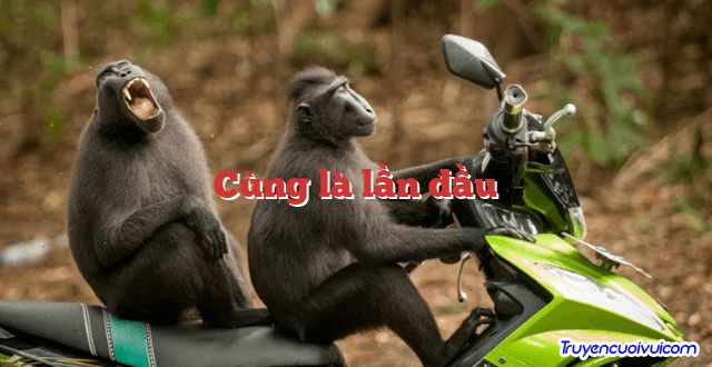 Cùng là lần đầu 		