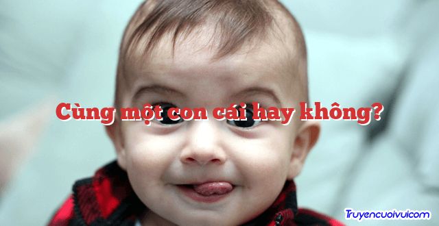 Cùng một con cái hay không?