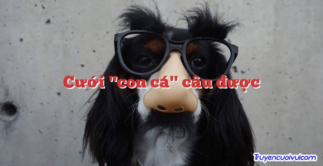 Cưới "con cá" câu được 		