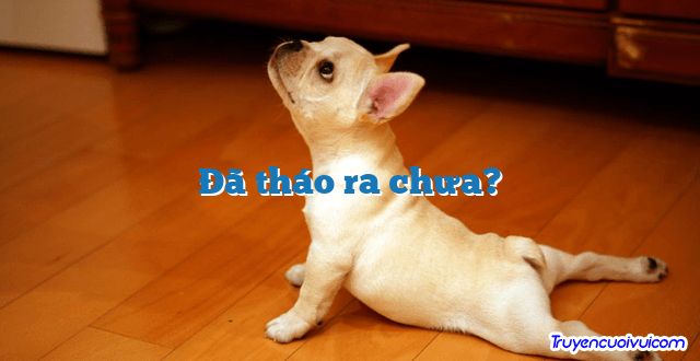 Đã tháo ra chưa? 		