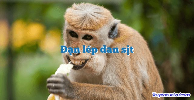Đạn lép đan sịt 		