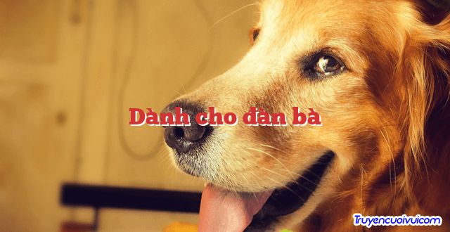 Dành cho đàn bà 		
