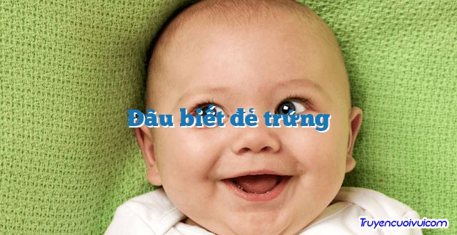 Đâu biết đẻ trứng 		