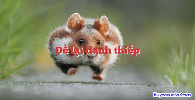 Để lại danh thiếp 		