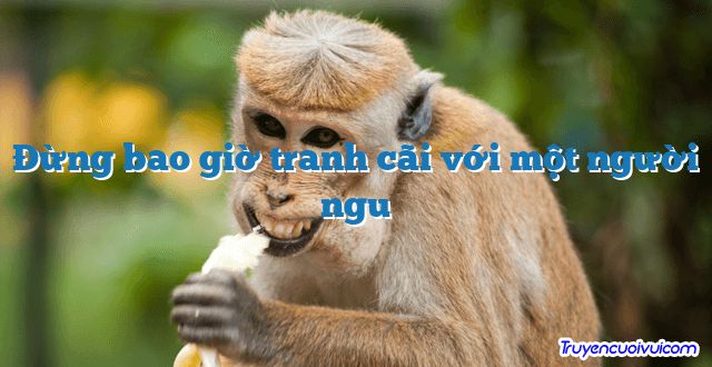 Đừng bao giờ tranh cãi với một người ngu 		