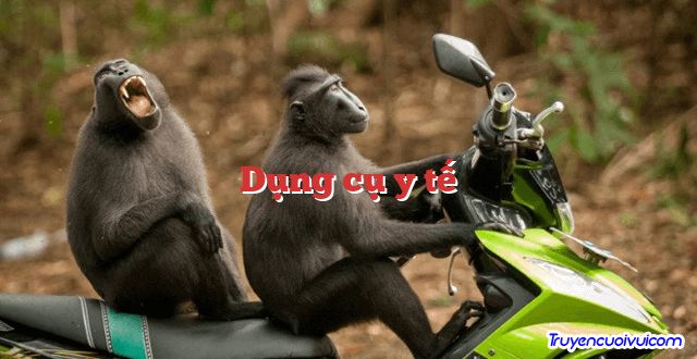 Dụng cụ y tế 		