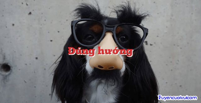 Đúng hướng 		