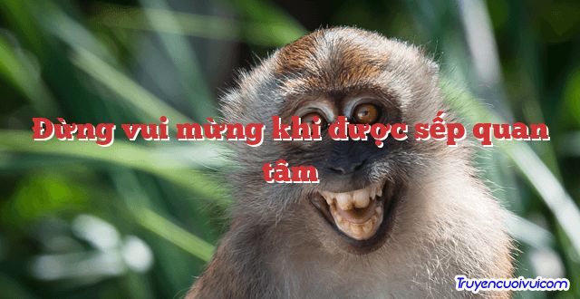 Đừng vui mừng khi được sếp quan tâm 		