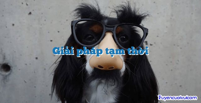 Giải pháp tạm thời 		