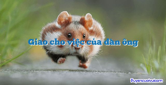 Giao cho việc của đàn ông