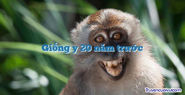 Giống y 20 năm trước