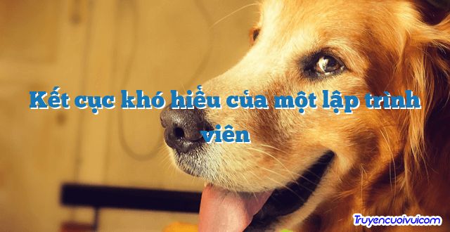 Kết cục khó hiểu của một lập trình viên 		