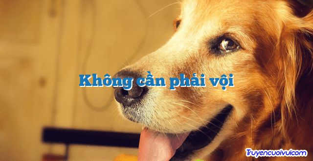 Không cần phải vội 		