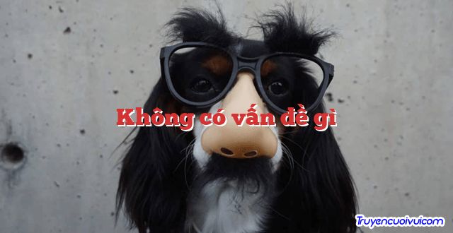 Không có vấn đề gì