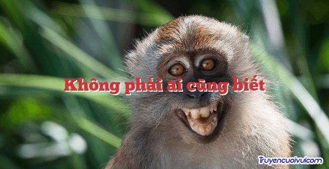 Không phải ai cũng biết 		