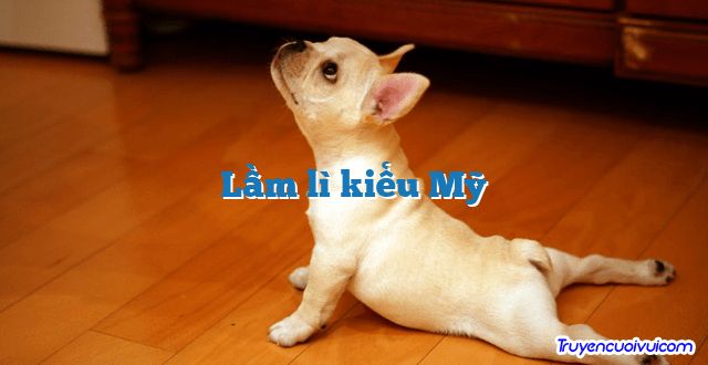 Lầm lì kiểu Mỹ