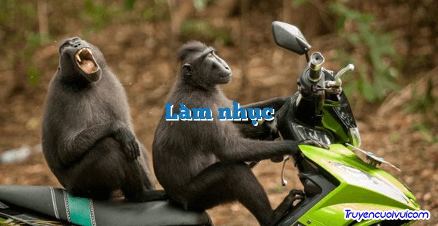 Làm nhục